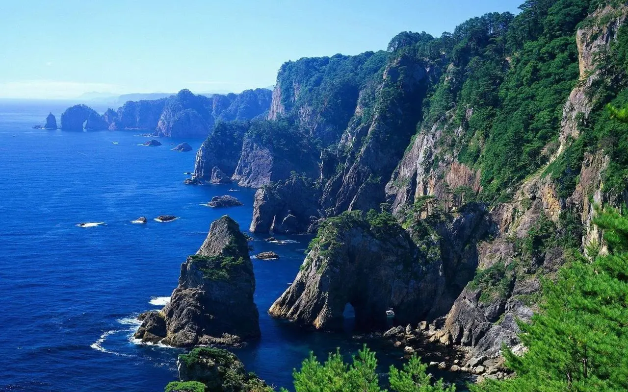 智能化独特高端